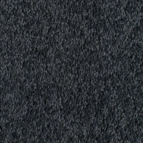 Enchanted carpet swatch